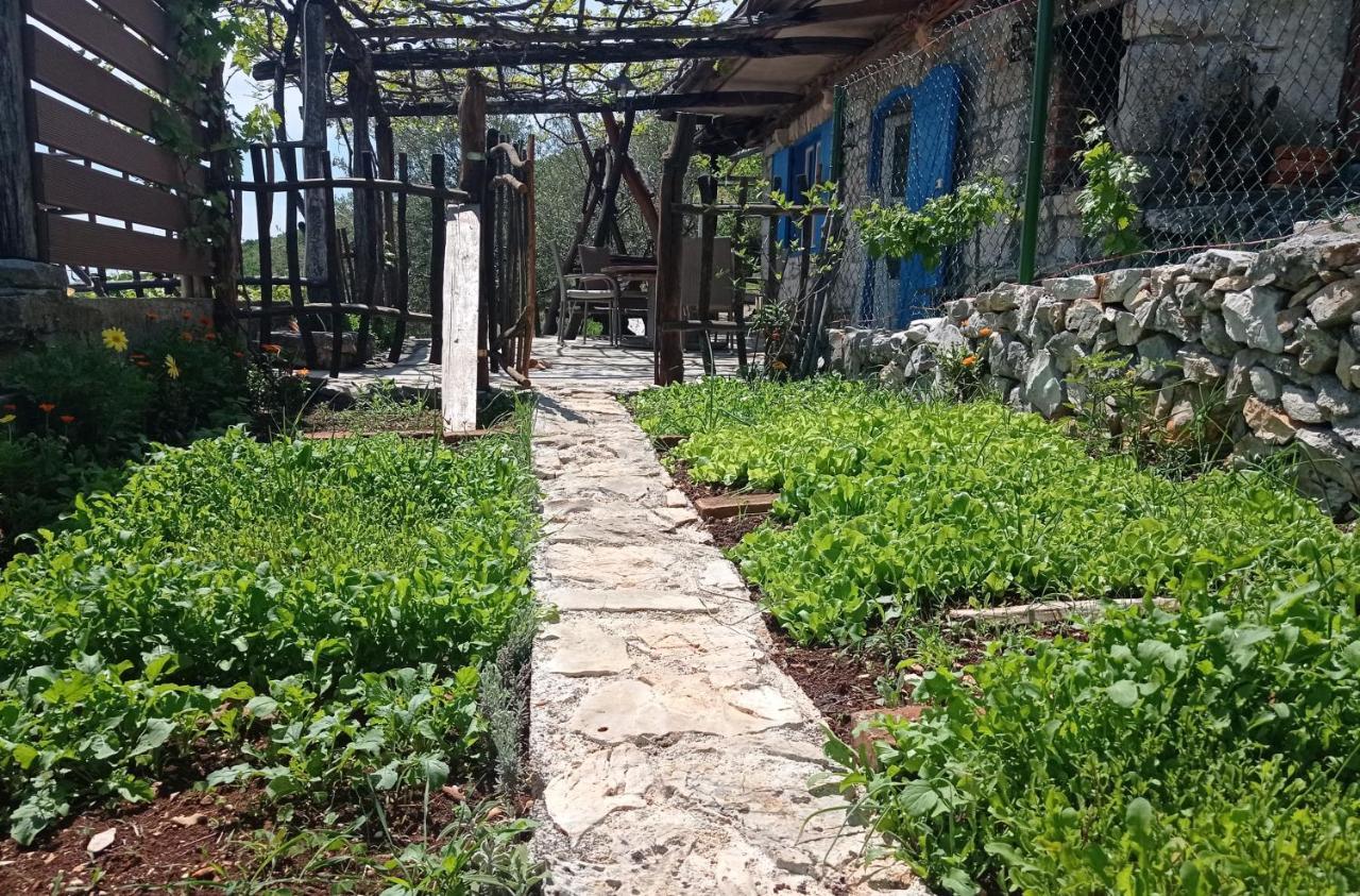 Willa Casa Delle Olive Mošćenička Draga Zewnętrze zdjęcie