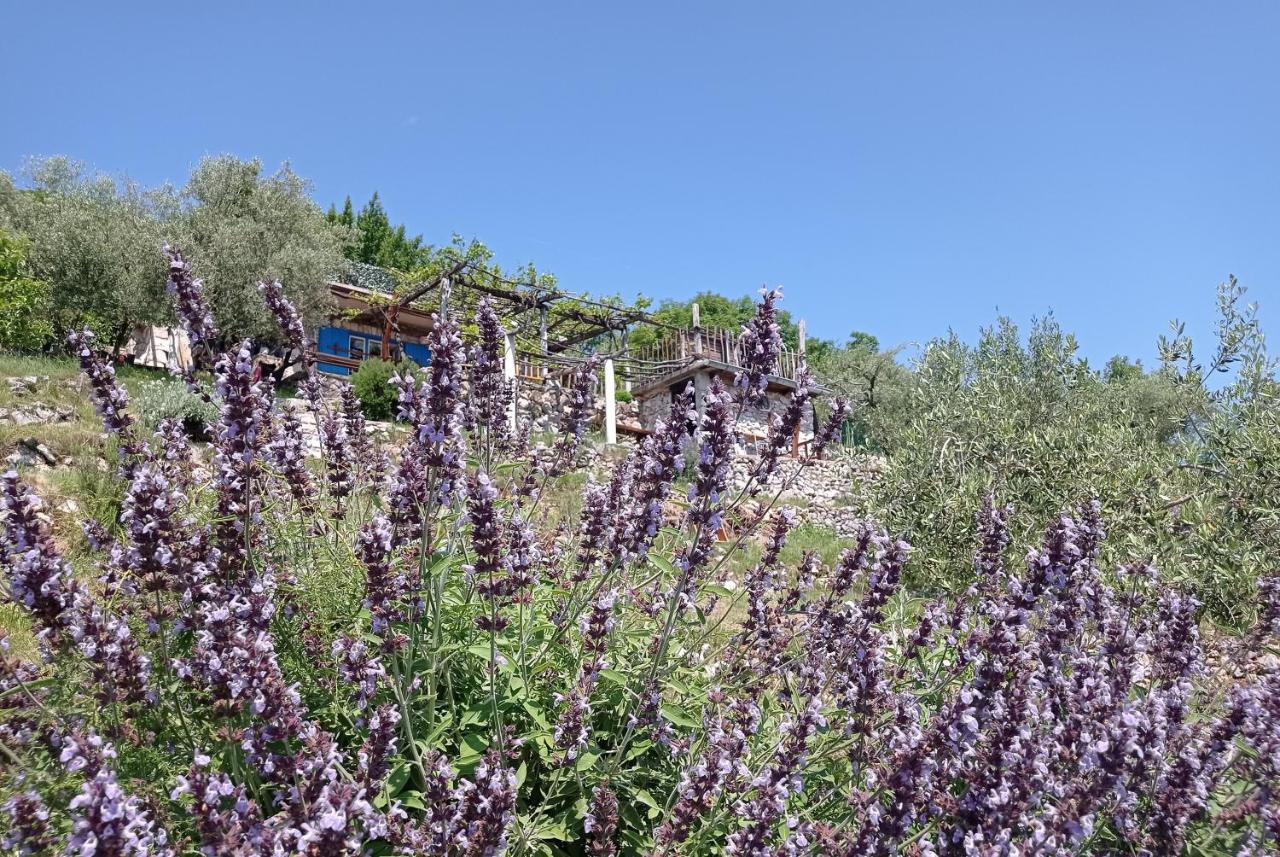 Willa Casa Delle Olive Mošćenička Draga Zewnętrze zdjęcie