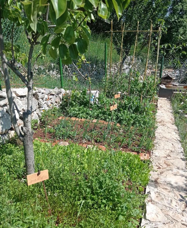Willa Casa Delle Olive Mošćenička Draga Zewnętrze zdjęcie