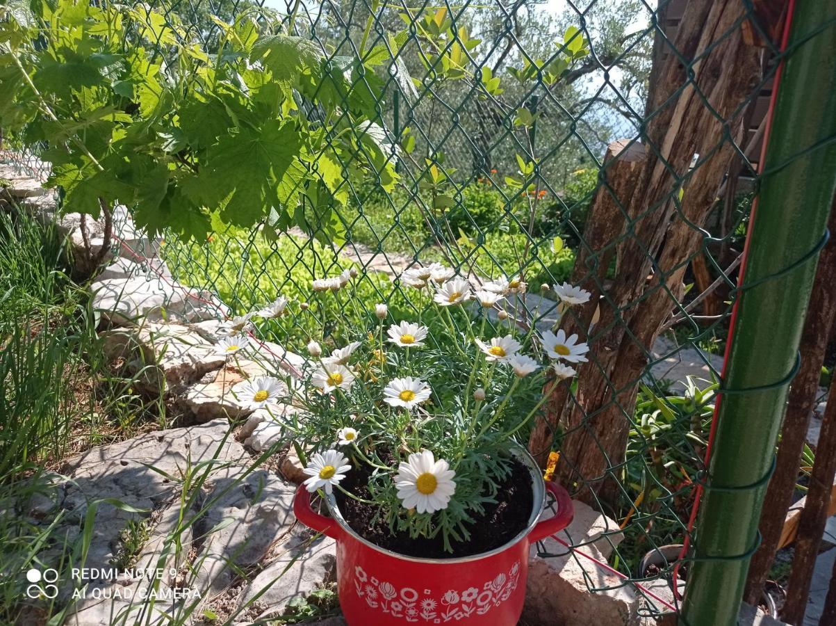 Willa Casa Delle Olive Mošćenička Draga Zewnętrze zdjęcie