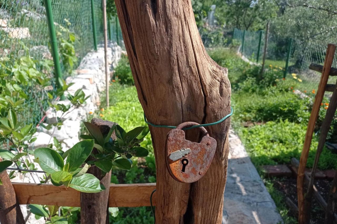 Willa Casa Delle Olive Mošćenička Draga Zewnętrze zdjęcie